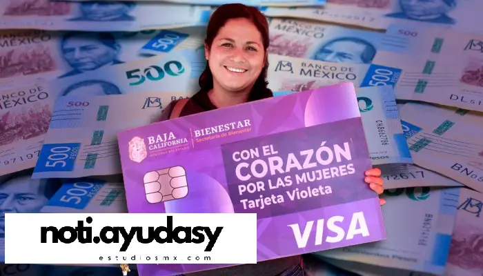 Programa de la tarjeta violeta: Checa los detalles de este Programa para Mujeres Jefas de Familia