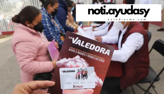 Programa la Valedora 2024